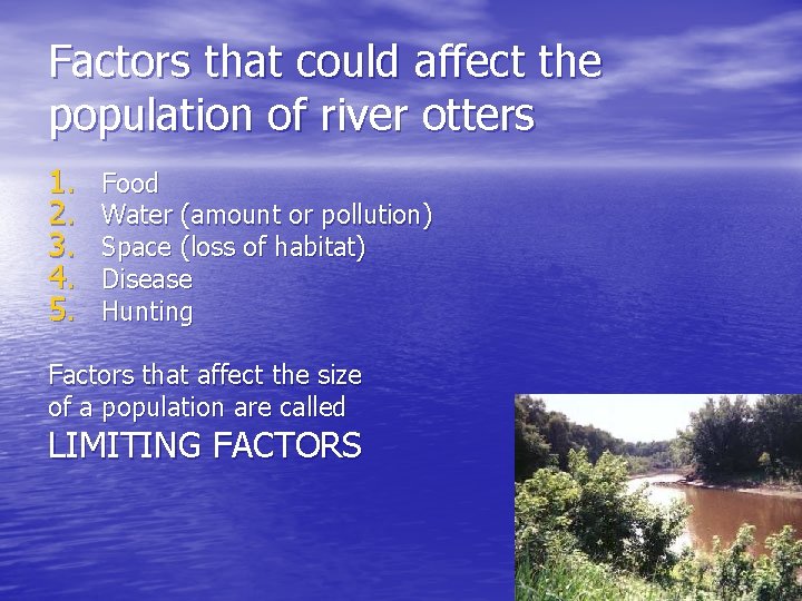 Factors that could affect the population of river otters 1. 2. 3. 4. 5.