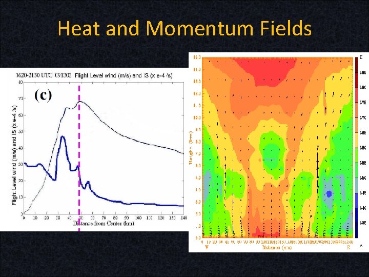 Heat and Momentum Fields Heat and Momentum Fields