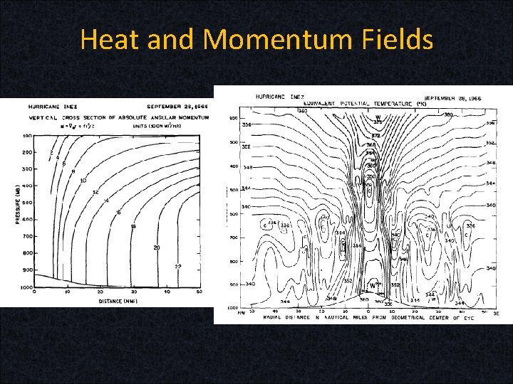 Heat and Momentum Fields 