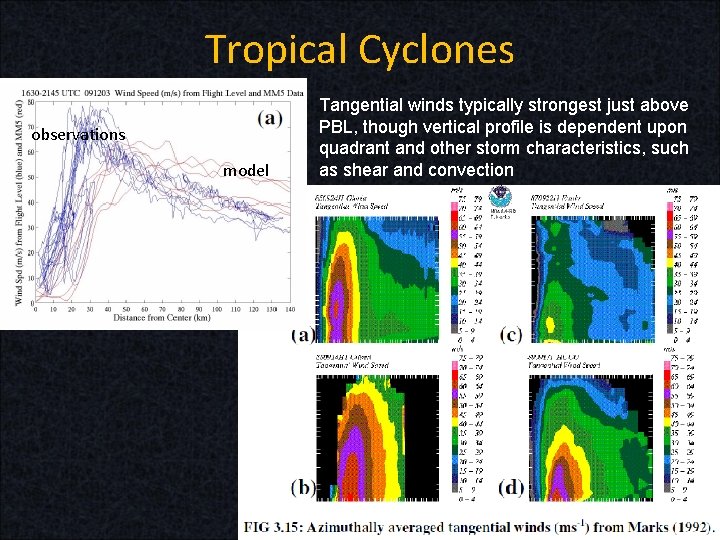 Tropical Cyclones observations model Tangential winds typically strongest just above PBL, though vertical profile