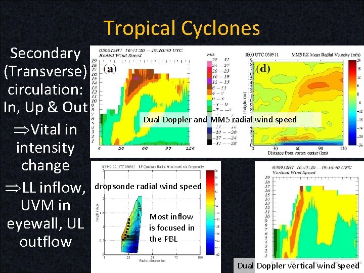 Tropical Cyclones Secondary (Transverse) circulation: In, Up & Out ÞVital in intensity change ÞLL Tropical Cyclones Secondary (Transverse) circulation: In, Up & Out ÞVital in intensity change ÞLL
