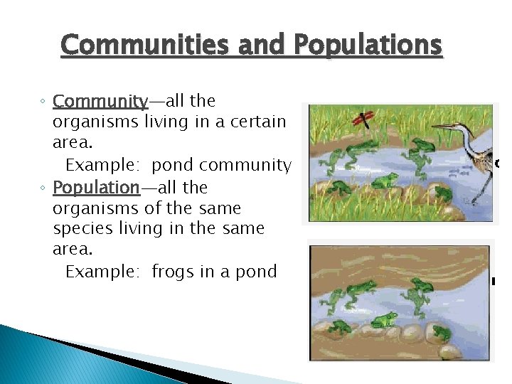 Communities and Populations ◦ Community—all the organisms living in a certain area. Example: pond
