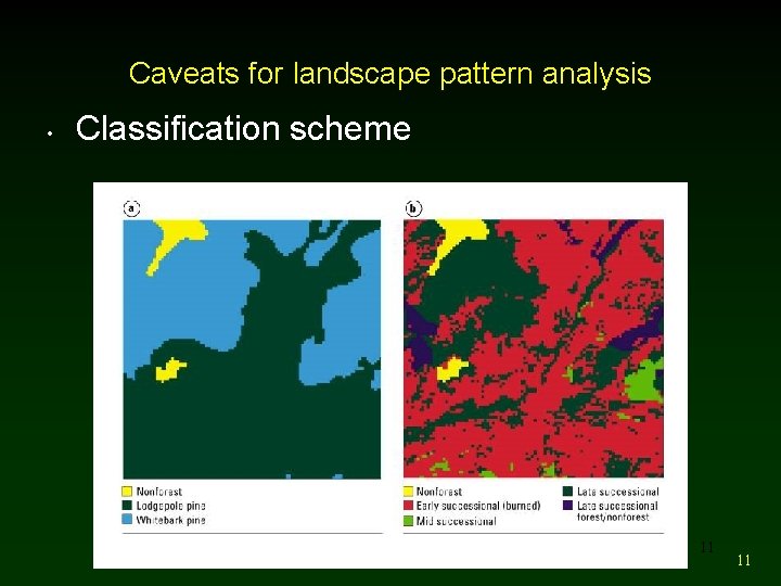 Caveats for landscape pattern analysis • Classification scheme 11 11 