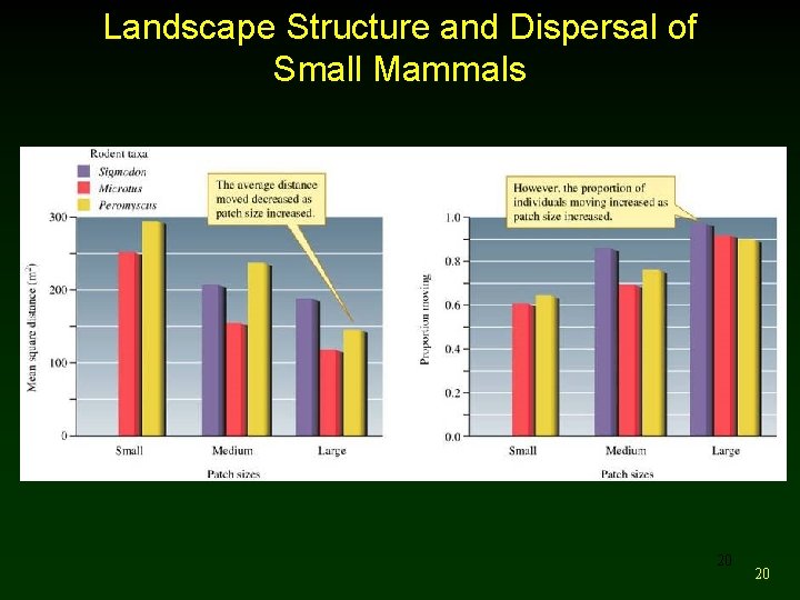 Landscape Structure and Dispersal of Small Mammals 20 20 