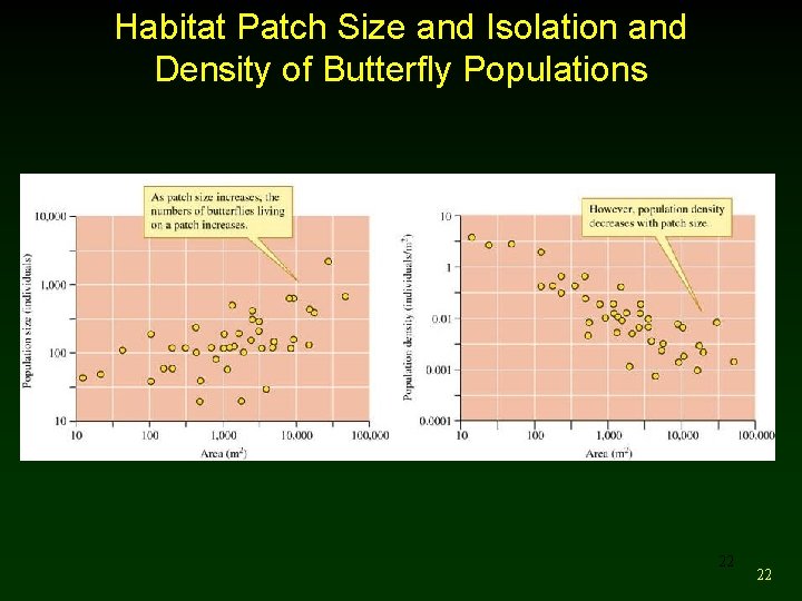 Habitat Patch Size and Isolation and Density of Butterfly Populations 22 22 