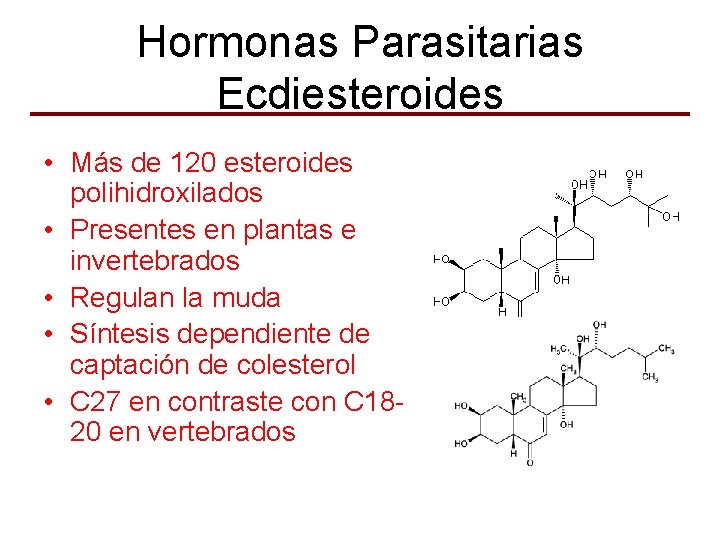 Hormonas Parasitarias Ecdiesteroides • Más de 120 esteroides polihidroxilados • Presentes en plantas e