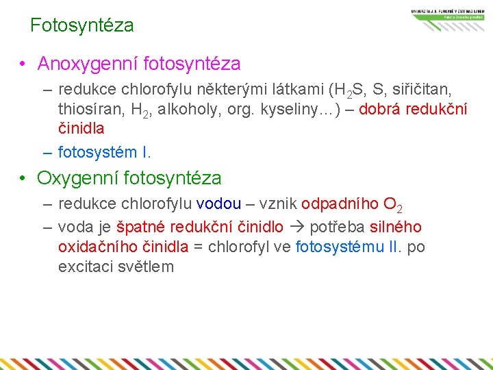 Fotosyntéza • Anoxygenní fotosyntéza – redukce chlorofylu některými látkami (H 2 S, S, siřičitan,