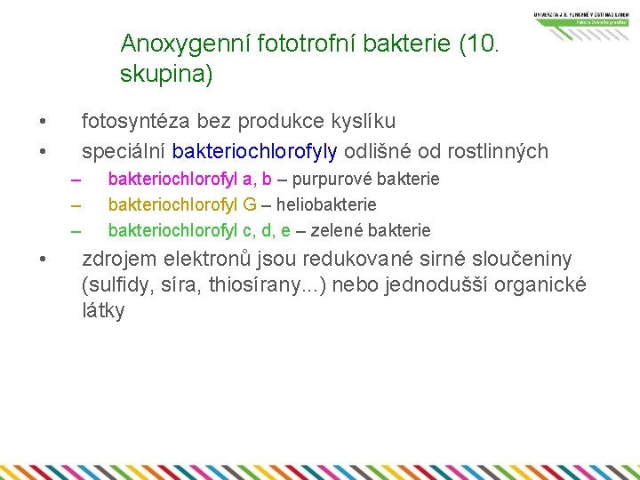 Anoxygenní fototrofní bakterie (10. skupina) • • fotosyntéza bez produkce kyslíku speciální bakteriochlorofyly odlišné