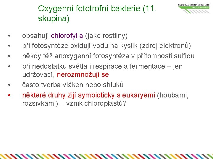 Oxygenní fototrofní bakterie (11. skupina) • • • obsahují chlorofyl a (jako rostliny) při