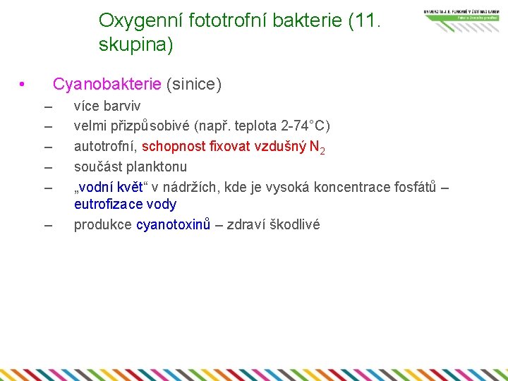 Oxygenní fototrofní bakterie (11. skupina) • Cyanobakterie (sinice) – – – více barviv velmi