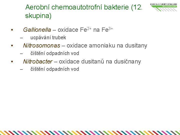 Aerobní chemoautotrofní bakterie (12. skupina) • Gallionella – oxidace Fe 2+ na Fe 3+