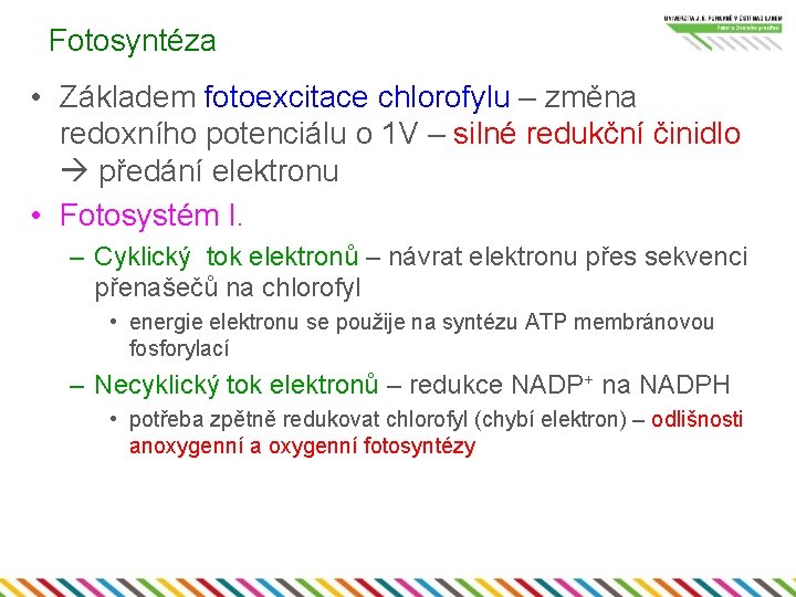 Fotosyntéza • Základem fotoexcitace chlorofylu – změna redoxního potenciálu o 1 V – silné