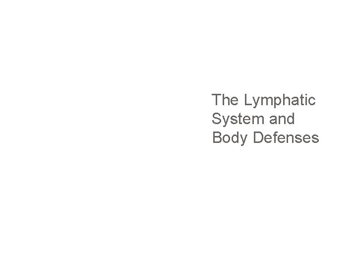 The Lymphatic System and Body Defenses 