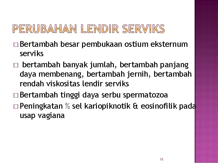 � Bertambah besar pembukaan ostium eksternum serviks � bertambah banyak jumlah, bertambah panjang daya