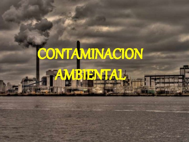 CONTAMINACION AMBIENTAL 