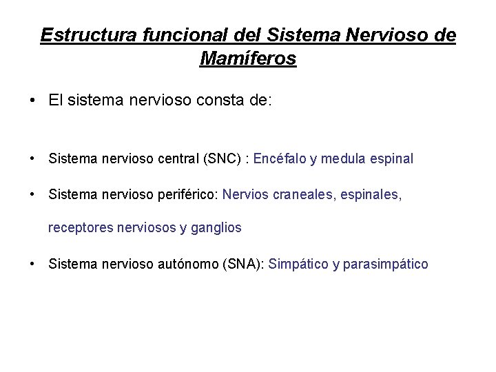 Estructura funcional del Sistema Nervioso de Mamíferos • El sistema nervioso consta de: •