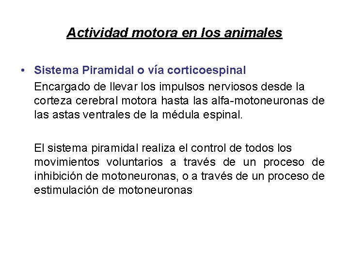 Actividad motora en los animales • Sistema Piramidal o vía corticoespinal Encargado de llevar Actividad motora en los animales • Sistema Piramidal o vía corticoespinal Encargado de llevar