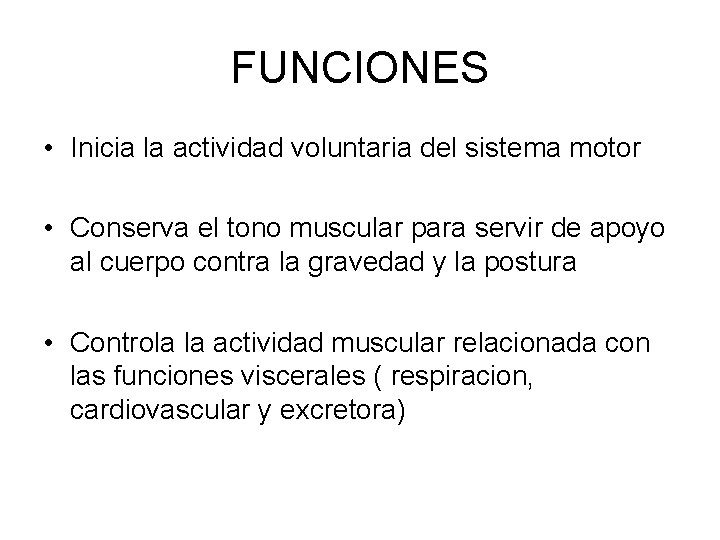 FUNCIONES • Inicia la actividad voluntaria del sistema motor • Conserva el tono muscular