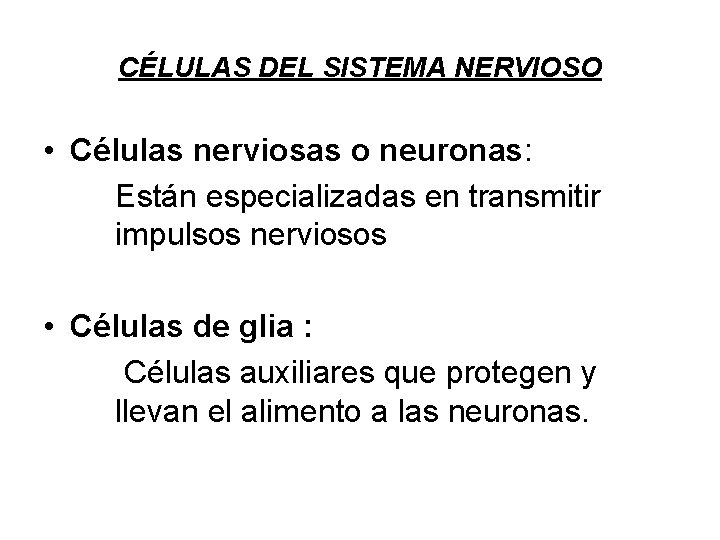 CÉLULAS DEL SISTEMA NERVIOSO • Células nerviosas o neuronas: Están especializadas en transmitir impulsos