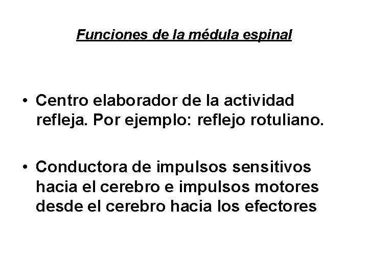 Funciones de la médula espinal • Centro elaborador de la actividad refleja. Por ejemplo: