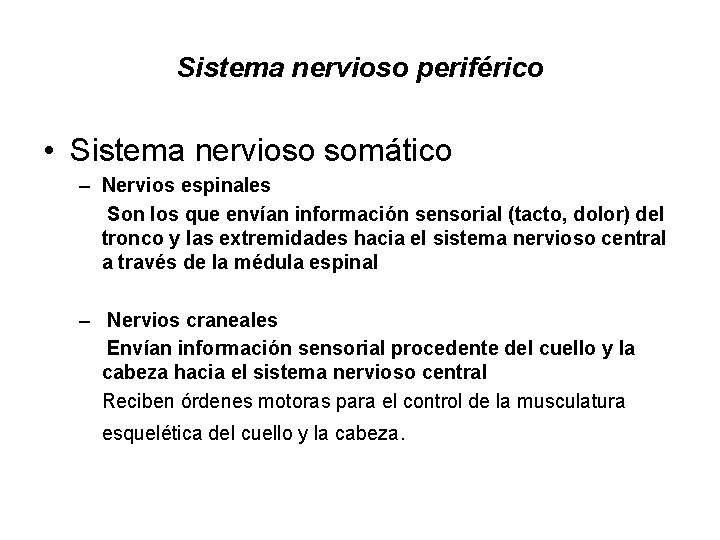 Sistema nervioso periférico • Sistema nervioso somático – Nervios espinales Son los que envían