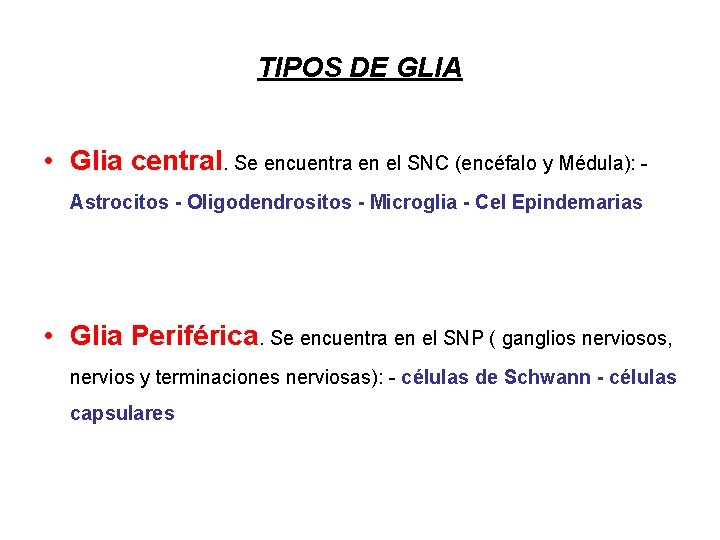 TIPOS DE GLIA • Glia central. Se encuentra en el SNC (encéfalo y Médula):