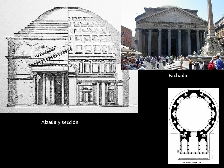 Fachada Plano Alzada y sección 