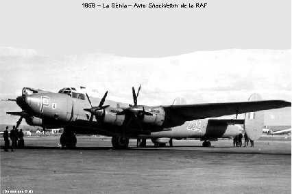 1959 – La Sénia – Avro Shackleton de la RAF (Dominique Gal) 