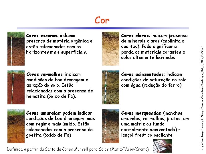 Cores escuras: indicam presença de matéria orgânica e estão relacionadas com os horizontes mais