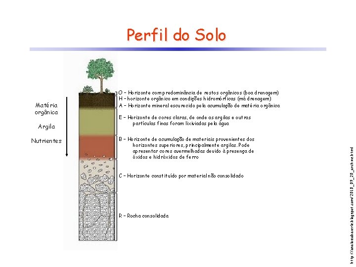 Perfil do Solo Argila Nutrientes E – Horizonte de cores claras, de onde as