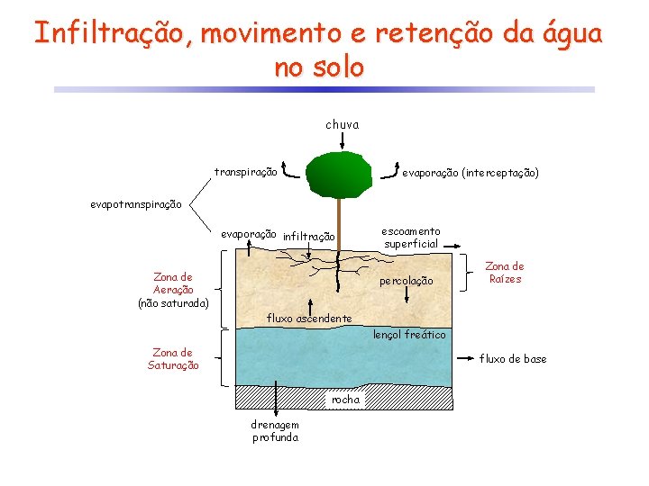 Infiltração, movimento e retenção da água no solo chuva transpiração evaporação (interceptação) evapotranspiração evaporação