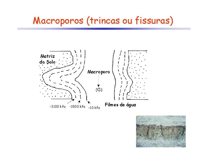 Macroporos (trincas ou fissuras) Matriz do Solo Macroporo -3100 k. Pa -1500 k. Pa