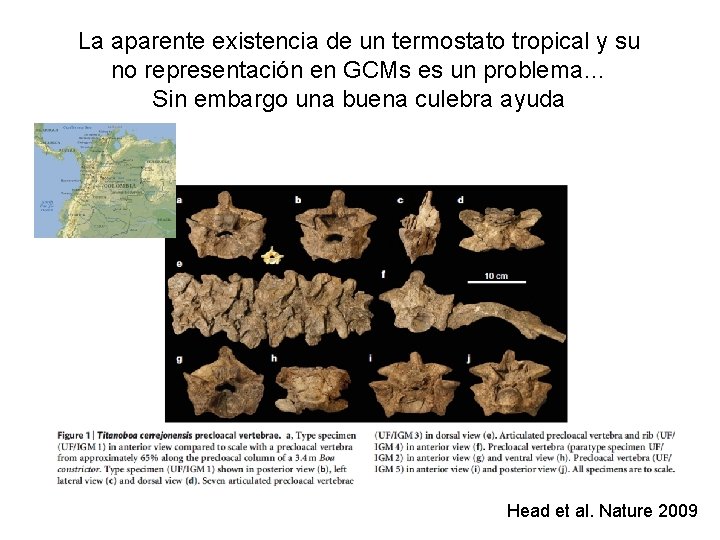 La aparente existencia de un termostato tropical y su no representación en GCMs es