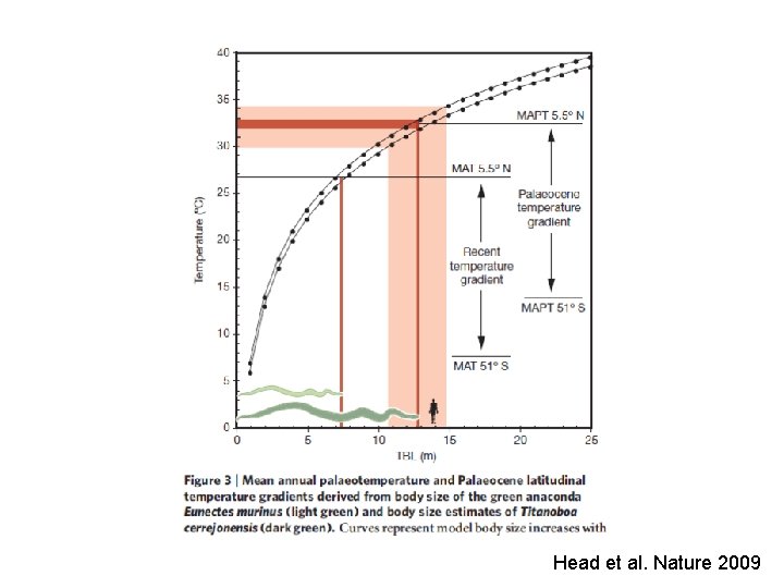 Head et al. Nature 2009 