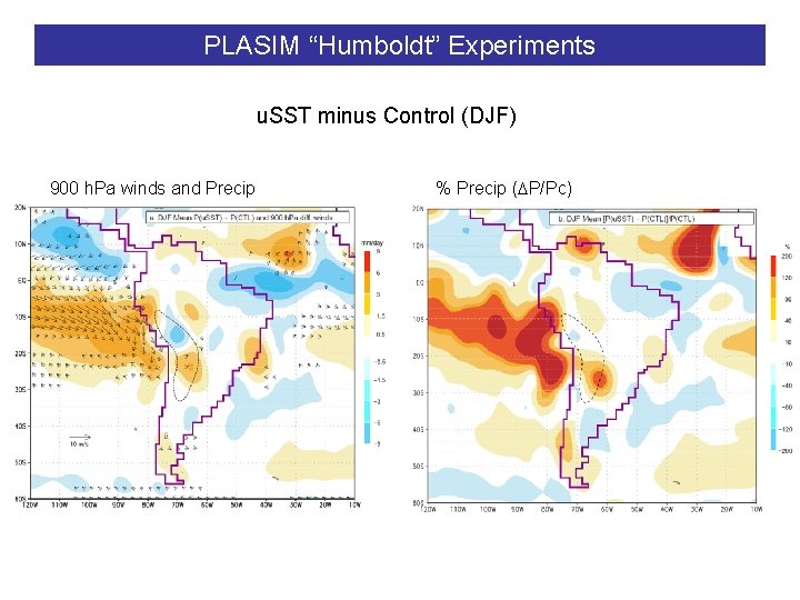 PLASIM “Humboldt” Experiments u. SST minus Control (DJF) 900 h. Pa winds and Precip