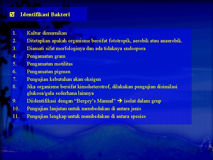  1. 2. 3. 4. 5. 6. 7. 8. 9. 10. 11. Identifikasi Bakteri