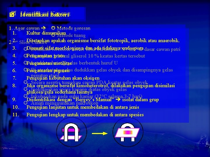  Identifikasi Bakteri Kapang 1. Agar cawan Metode goresan 1. Kultur dimurnikan Metode tuang