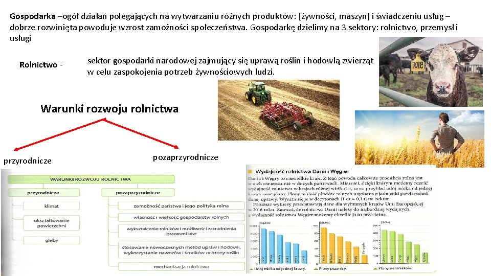 Gospodarka –ogół działań polegających na wytwarzaniu różnych produktów: [żywności, maszyn] i świadczeniu usług –