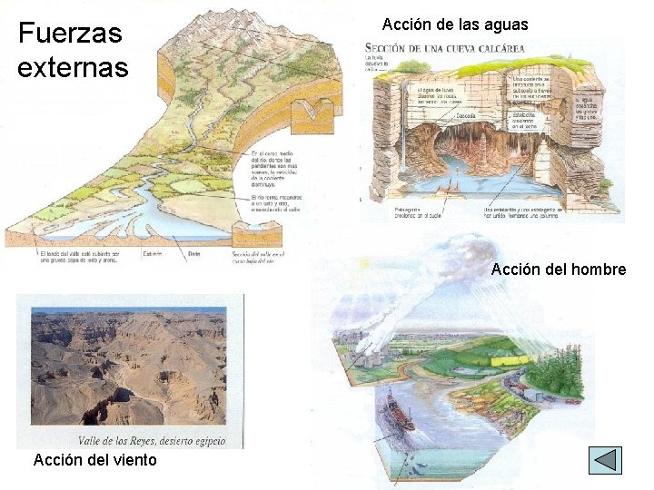 Fuerzas externas Acción de las aguas Acción del hombre Acción del viento 