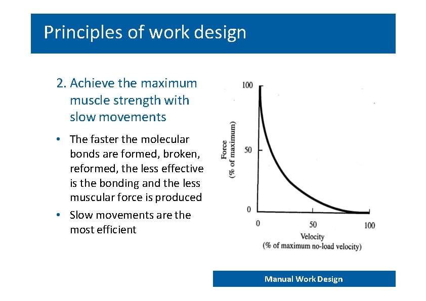 Principles of work design 2. Achieve the maximum muscle strength with slow movements •