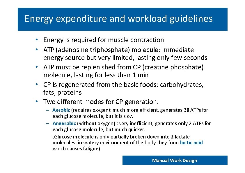 Energy expenditure and workload guidelines • Energy is required for muscle contraction • ATP