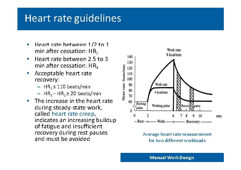 Heart rate guidelines • Heart rate between 1/2 to 1 min after cessation: HR