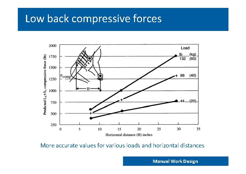 Low back compressive forces More accurate values for various loads and horizontal distances END