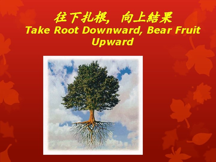 往下扎根, 向上結果 Take Root Downward, Bear Fruit Upward 