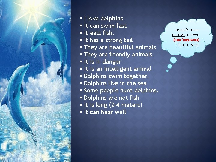 § I love dolphins § It can swim fast § It eats fish. §