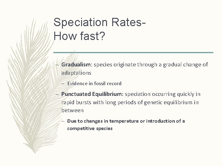 Speciation Rates. How fast? – Gradualism: species originate through a gradual change of adaptations