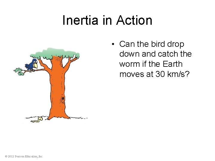 Inertia in Action • Can the bird drop down and catch the worm if