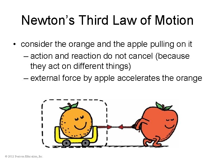 Newton’s Third Law of Motion • consider the orange and the apple pulling on