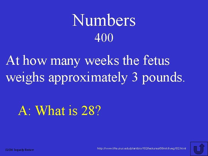 Numbers 400 At how many weeks the fetus weighs approximately 3 pounds. A: What