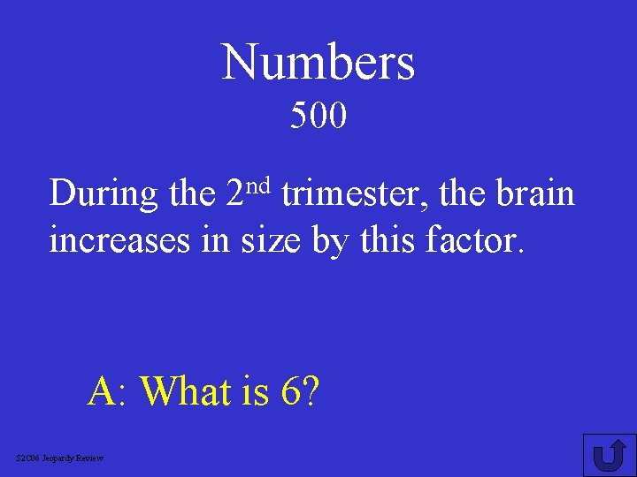 Numbers 500 nd 2 During the trimester, the brain increases in size by this